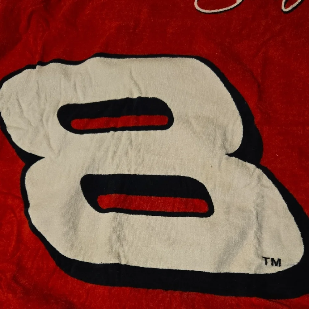 Dale Ernhardt Jr. Vintage Red and Black Beach Towel with Drakkar Noir Logo